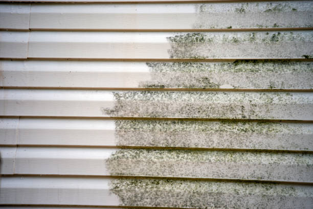 Best Shed Removal  in Harpersville, AL